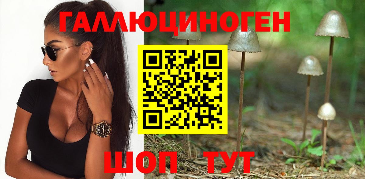 Псилоцибиновые грибы Psilocybine cubensis Сергиев Посад