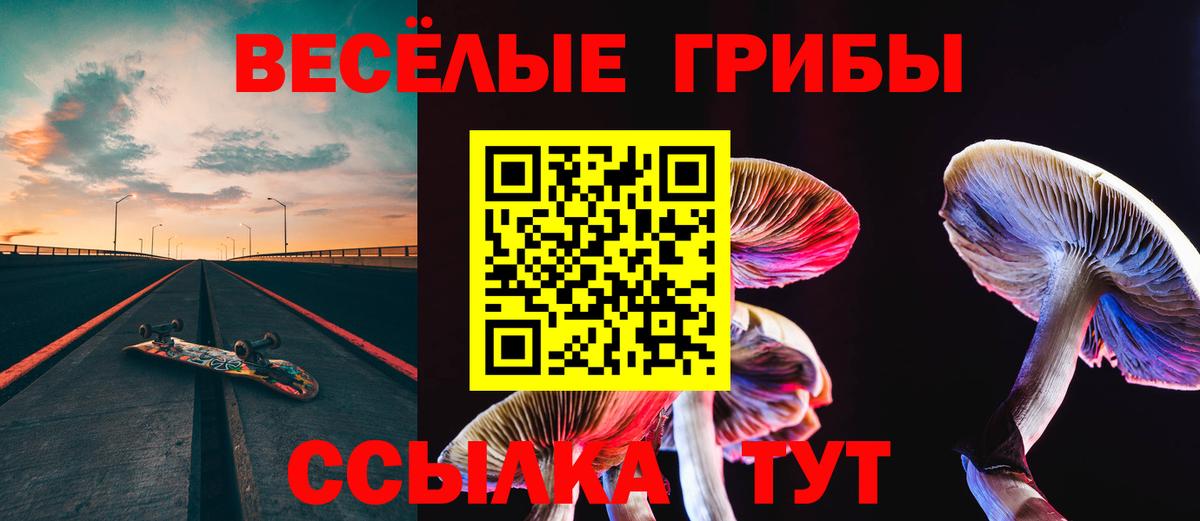 Сергиев Посад  Галлюциногенные грибы ЛСД  Вход с VPN  купить наркоту  Псилоцибиновые грибы Magic Shrooms 